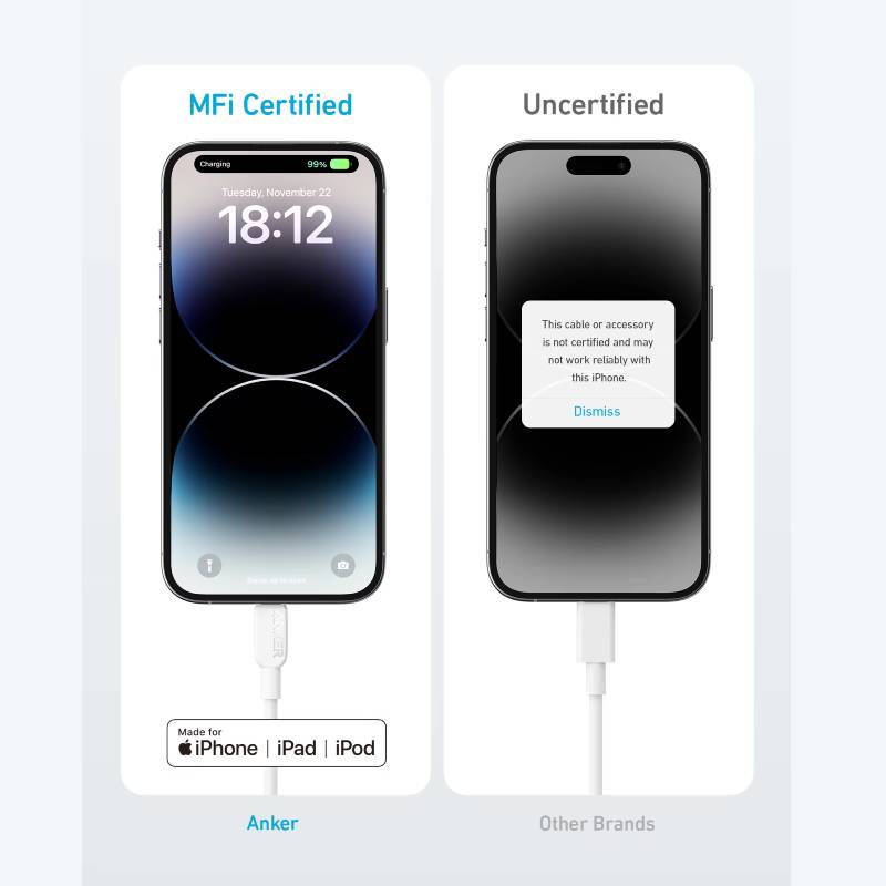 Anker 310 Type C To Lightning Cable