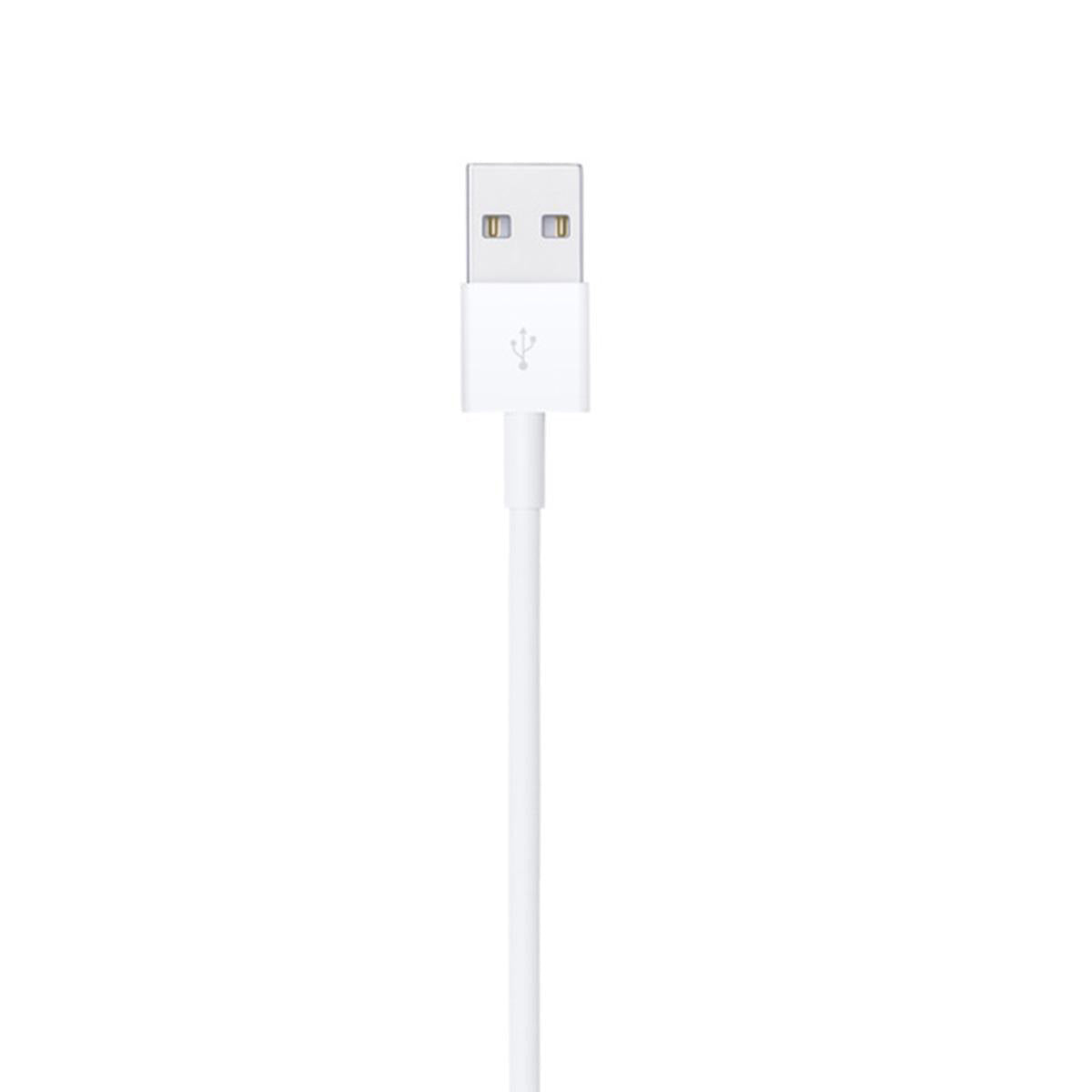 Apple Original Lightning to USB Cable (2M)