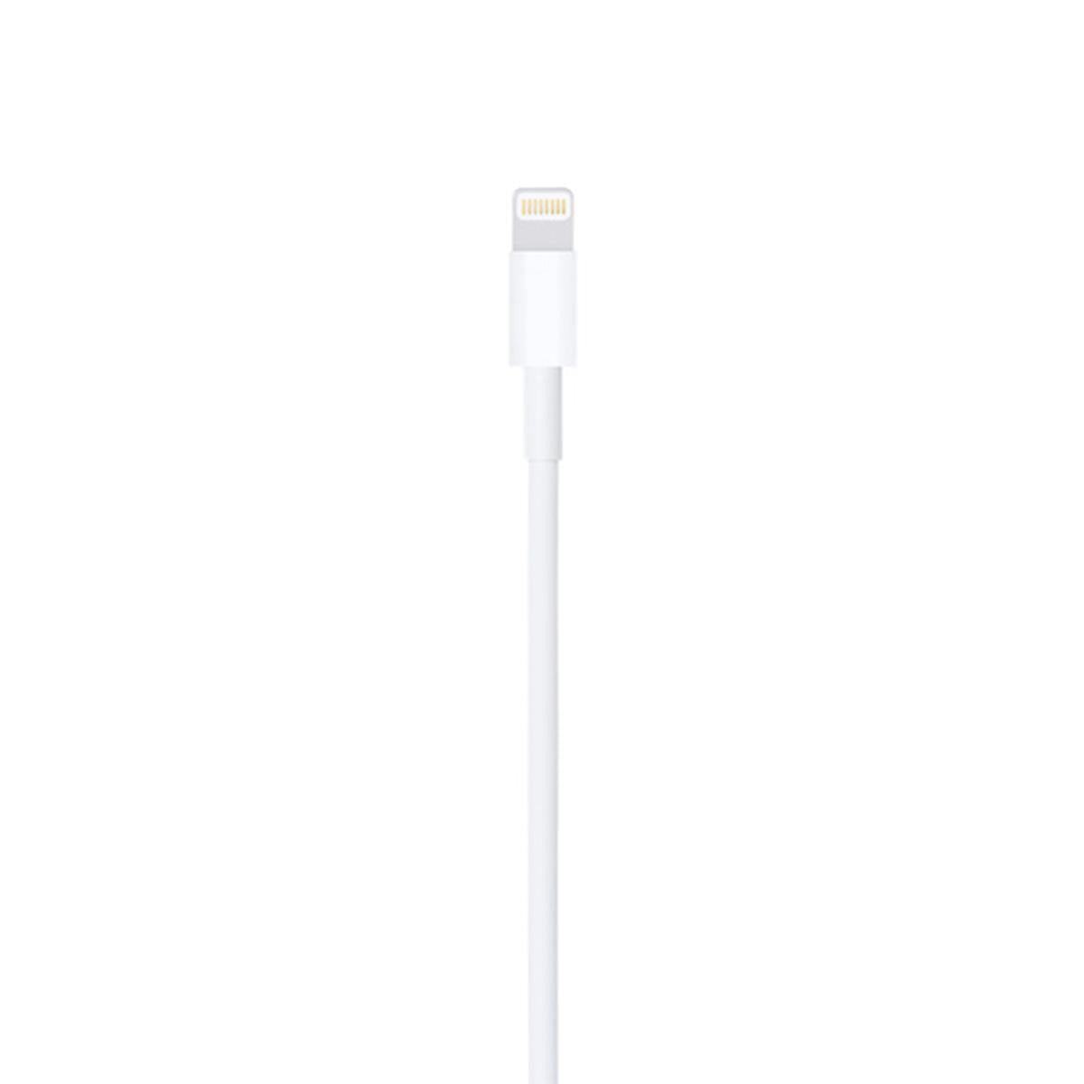 Apple Original Lightning to USB Cable (2M)
