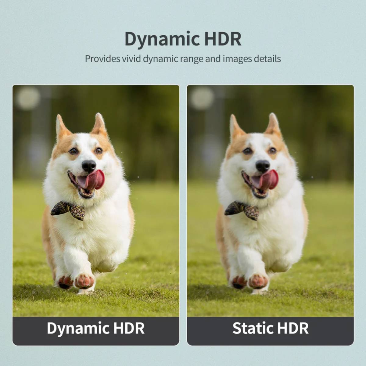 Choetech 8K HDMI to HDMI Cable XHH01 (2m) - XtraSure | Apple Authorized Reseller in Myanmar