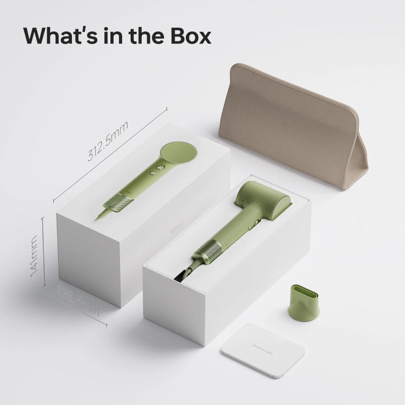 Laifen Mini Hight-speed hair dry(1100W)