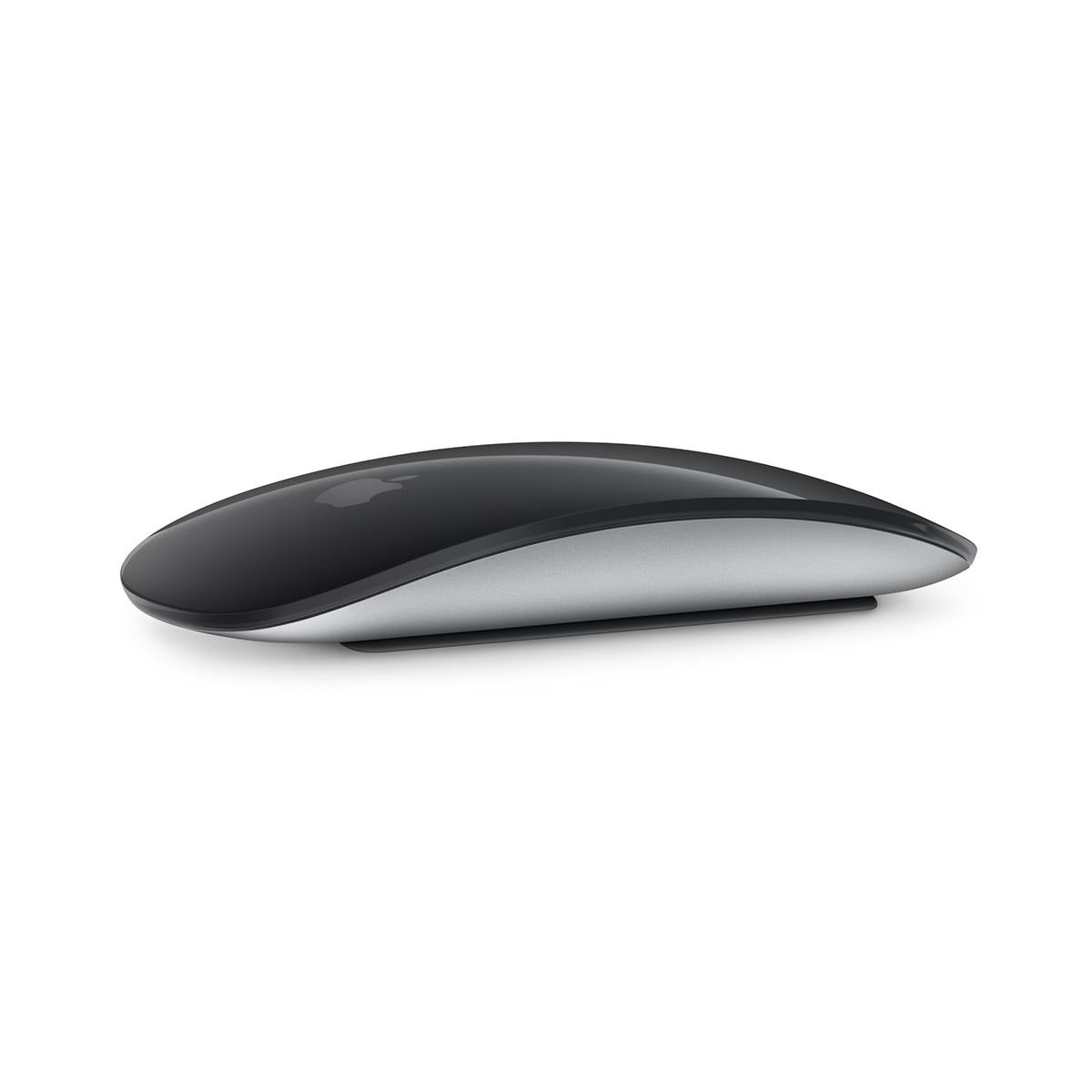 Magic Mouse 2