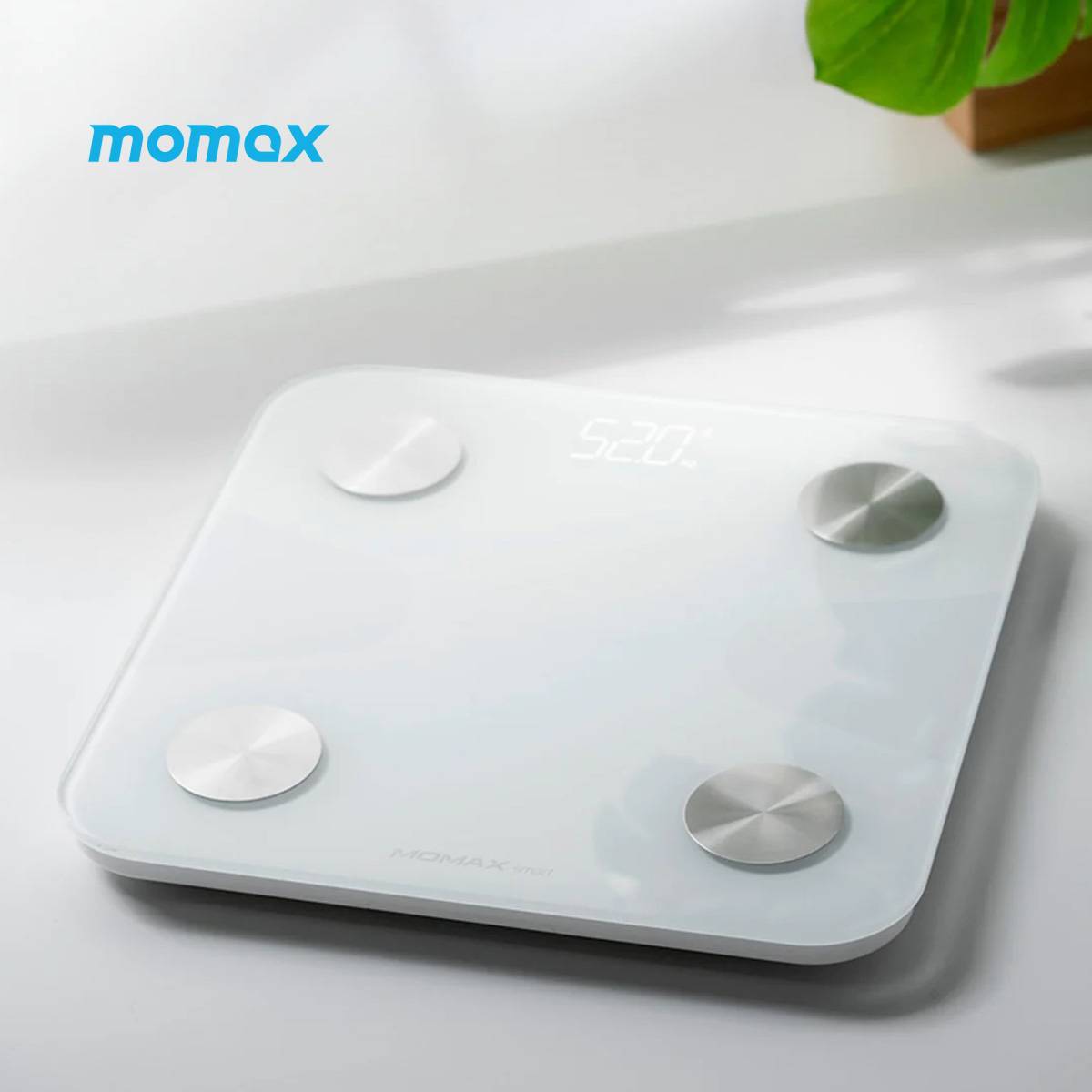 Momax Lite Tracker IoT Smart Body Fat Scale (EW2SW) - XtraSure | Apple Authorized Reseller in Myanmar