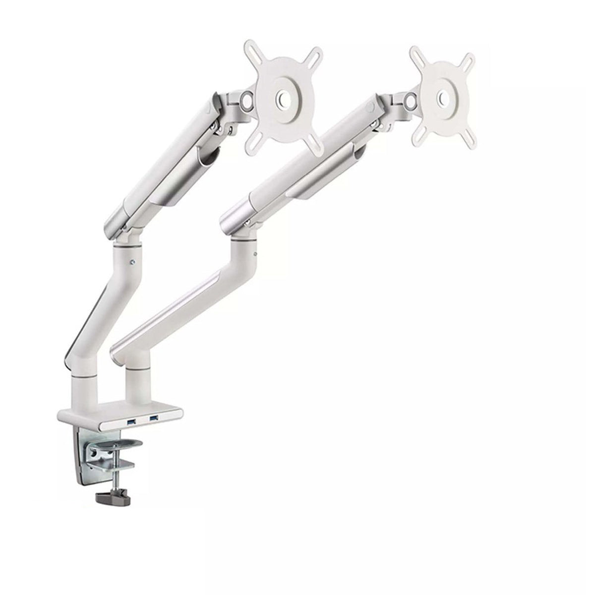iErgo Computer Monitor Dual Arm
