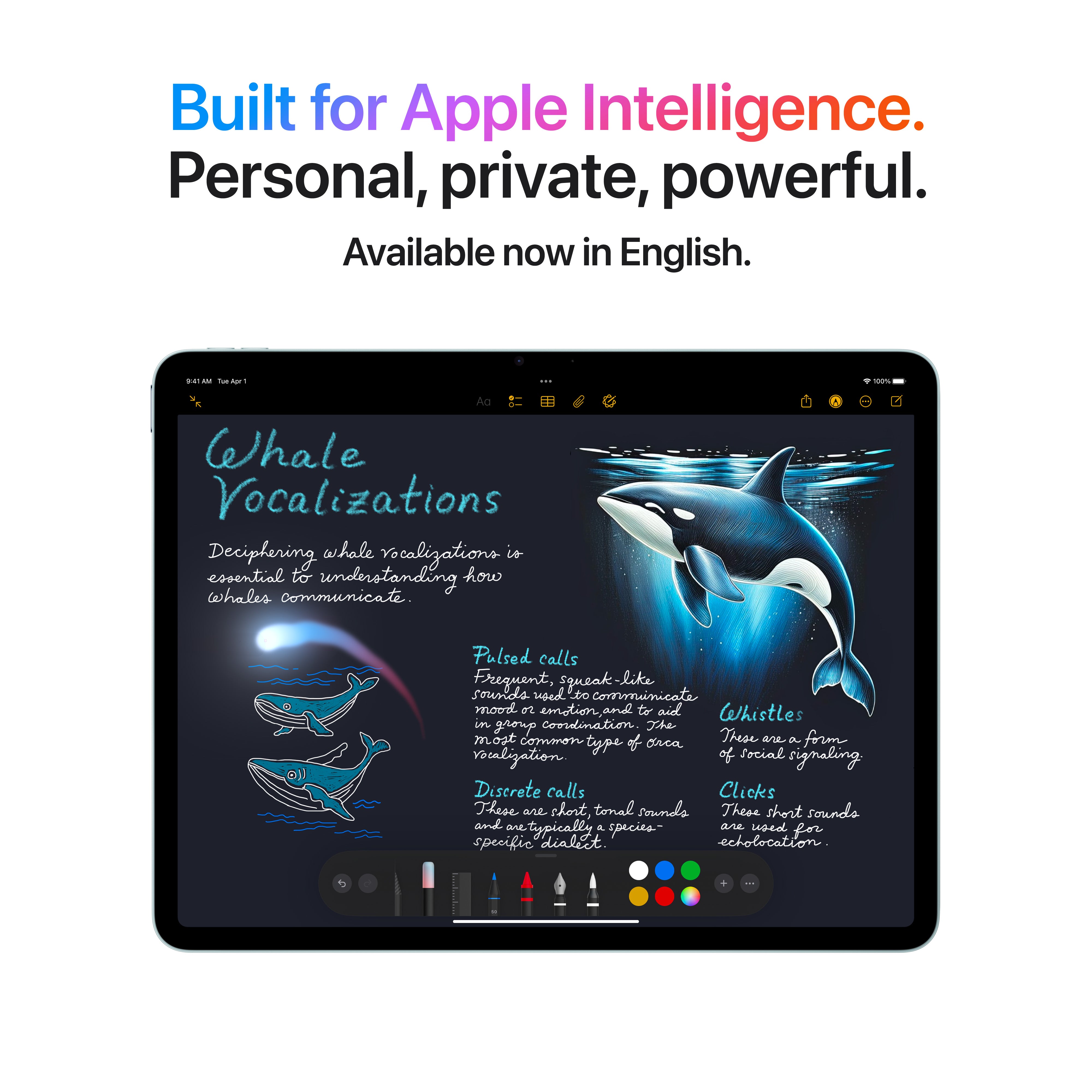 M3 iPad Air 11" 2025 - XtraSure | Apple Authorized Reseller in Myanmar