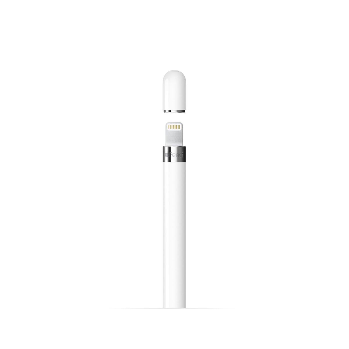 Apple Pencil 1 (with USB-C to Apple Pencil Adapter)