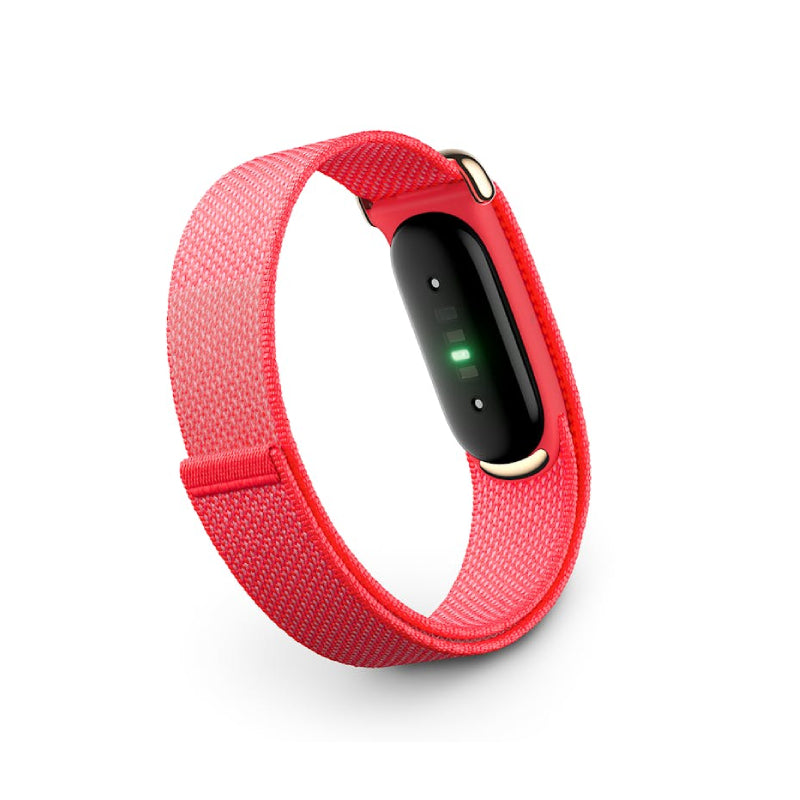 Google Fitbit air