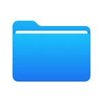 Document Your Issues