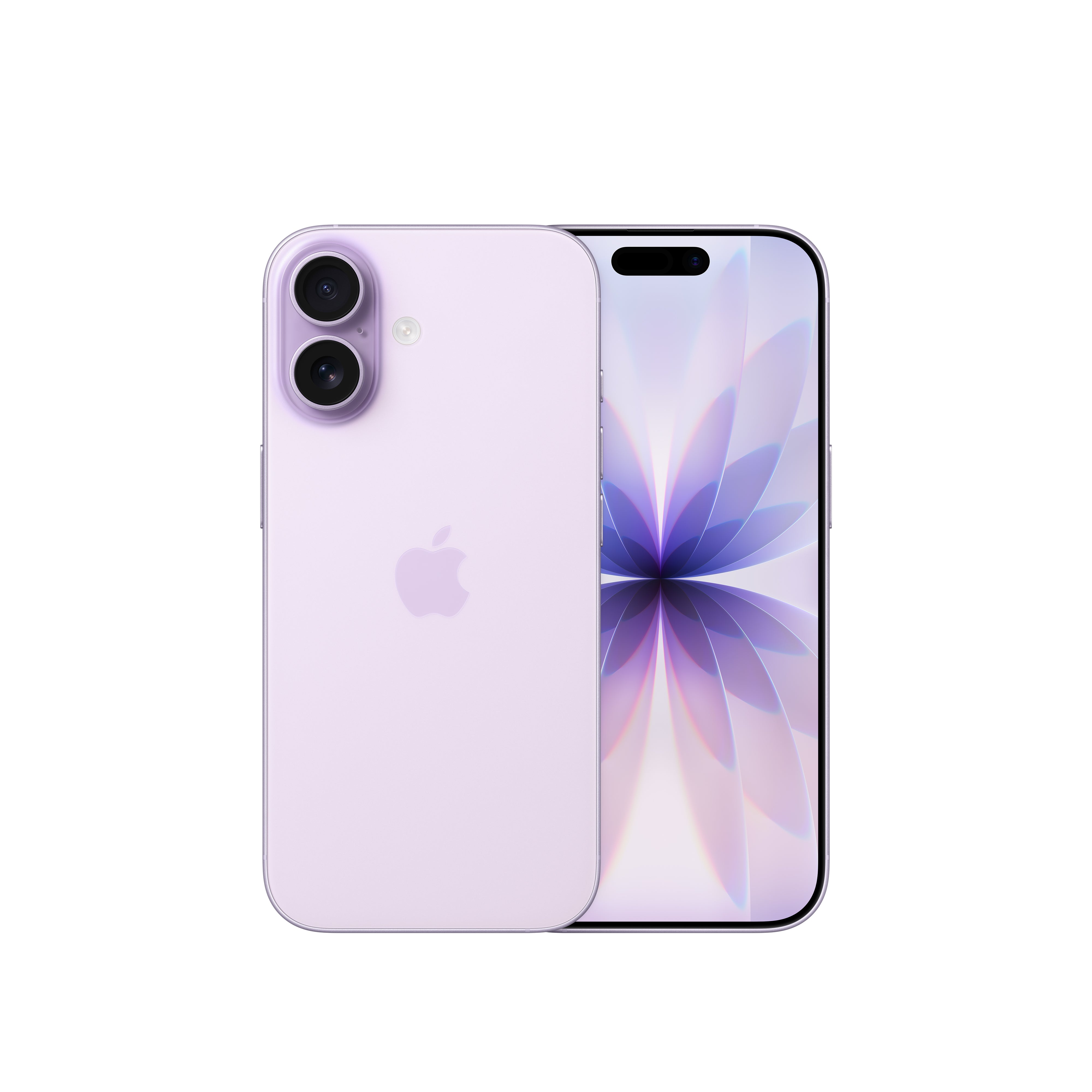 iPhone 17 (eSim + Physical Sim)