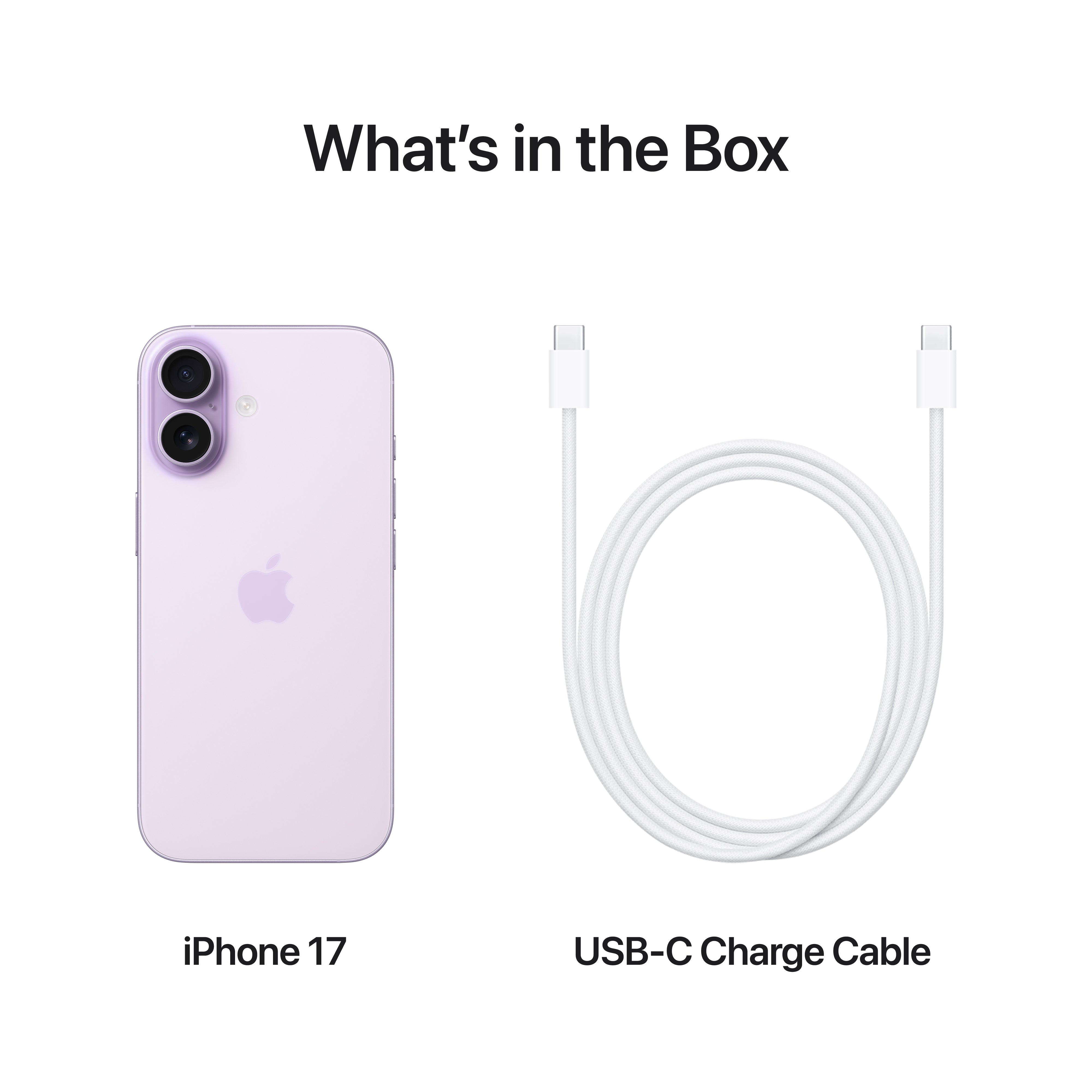 iPhone 17 (eSim + Physical Sim)