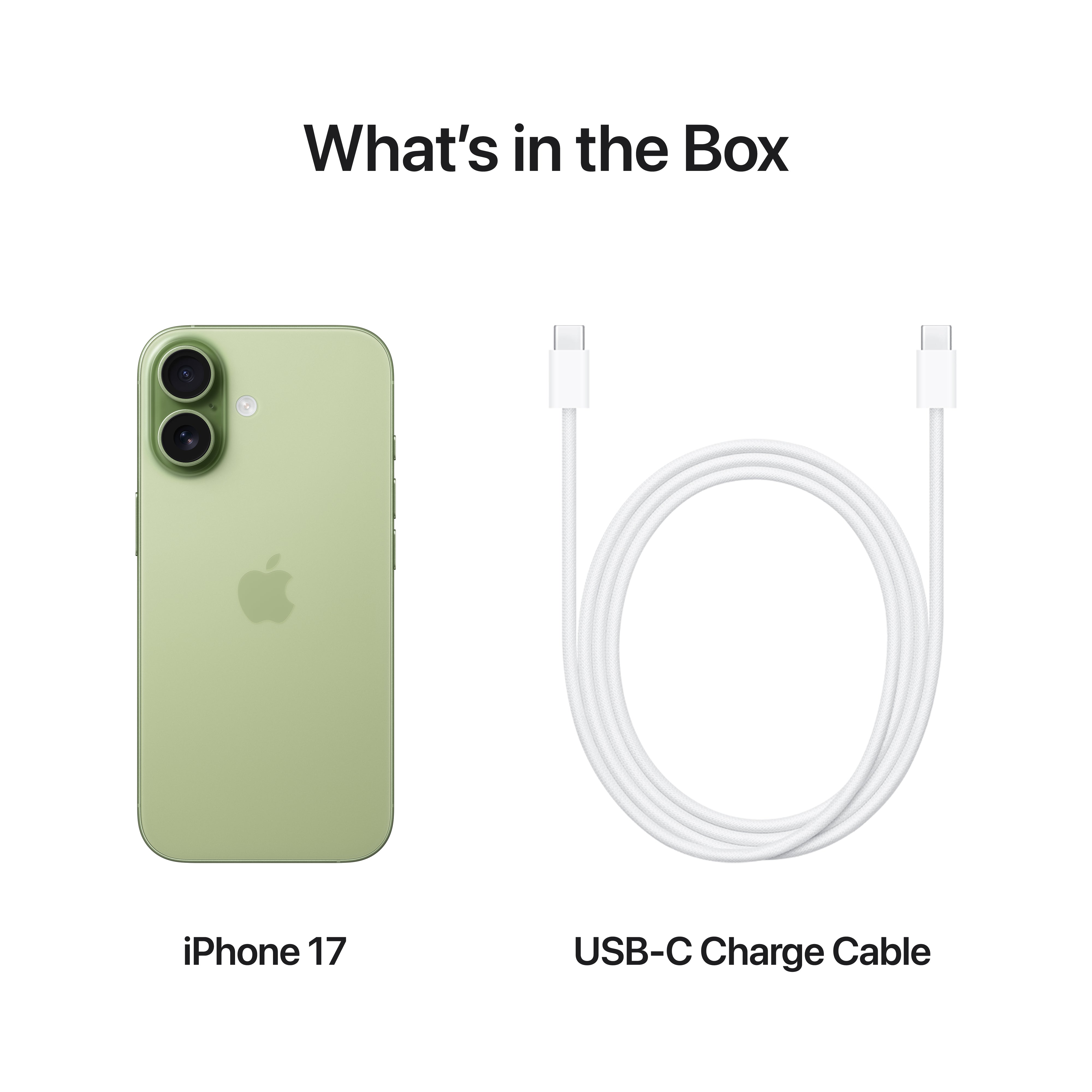 iPhone 17 (eSim + Physical Sim)