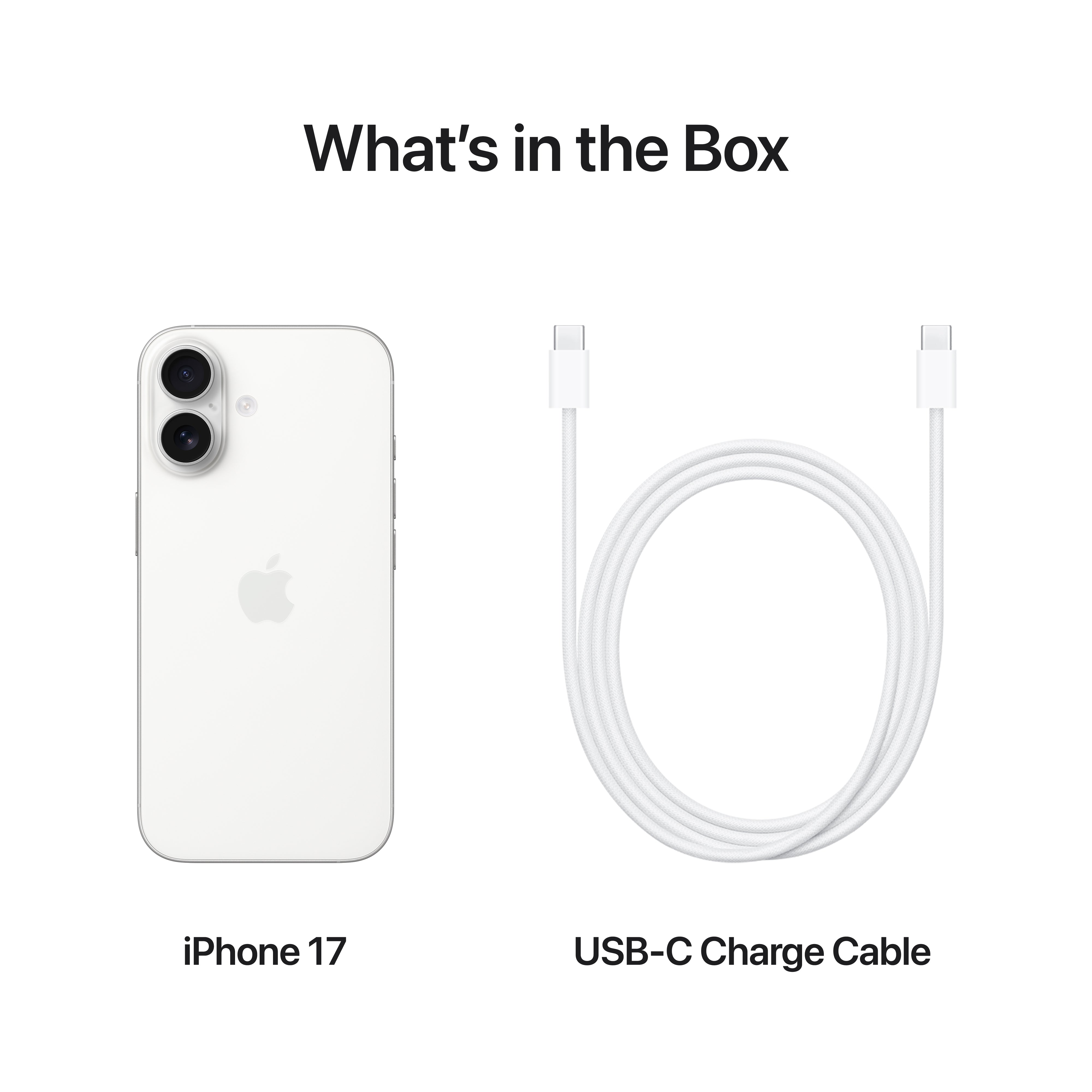 iPhone 17 (eSim + Physical Sim)